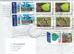 Hertogenbosch 2024 - Zitronenfalter Gonepteryx Rhamni - Perlmuttfalter Issoria Lathonia - Wanderfalter - Schmetterlinge - Lettres & Documents