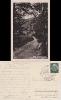 Ansichtskarte Eisenberg (Thüringen) An Der Amtschreibermühle 1940 - Eisenberg