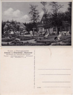 Griesbach-Schneeberg (Erzgebirge) Erholungsheim - Liegestühle 1931  - Schneeberg