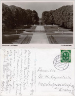 Ansichtskarte Schwetzingen Schlossgarten 1953 - Schwetzingen