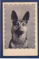 CPA 1 Euro Chien Berger Allemand Dog Circulée Prix De Départ 1 Euro - Hunde