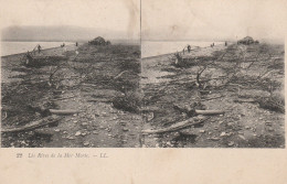 CARTE STEREOSCOPIQUE ISTRAEL JERUSALEM LES RIVES DE LA MER MORTE TBE - Stereoscope Cards