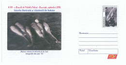 IP 2006 - 28 SOUTH  ATLANTIC, Whales Hunting, Romania - Stationery - Unused - 2006 - Antarktischen Tierwelt