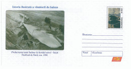 IP 2006 - 32 NORTH PACIFIC, Whales Hunting, Romania - Stationery - Unused - 2006 - Arctic Tierwelt