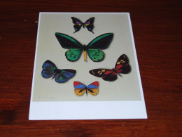 71004-           VLINDER, BUTTERFLY, PAPILLON, SCHMETTERLING, FARFALLA, MARIPOSA - Schmetterlinge