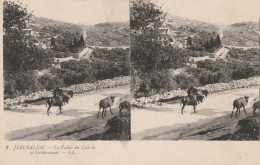 CARTE STEREOSCOPIQUE ISTRAEL JERUSALEM LA VALLEE DU CEDRON ET GETHSEMANI TBE - Stereoscope Cards