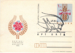 Ganzsache ZENTRALES ERNTEFEST IN KOSZALIN 1975 Heuschrecke Heupferd - Upt Utka - Covers & Documents