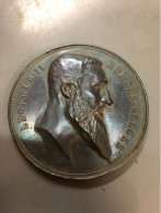 BELGIE -BELGIQUE Medaille Leopold II - Roi Des Belges - 1894 - Wereldtentoonstelling Antwerpen - Adel