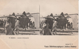 CARTE STEREOSCOPIQUE  ALGERIE BISKRA ATATICH PALANQUIN JULIEN DAMOY TBE - Cartes Stéréoscopiques