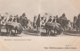 CARTE STEREOSCOPIQUE  ALGERIE BISKRA CHEVAUX RECOUVERTS DU DJELAL JULIEN DAMOY TBE - Stereoskopie