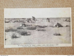 In Africa Nel 1941 Nel Deserto Tra Tobruk E Sollum Soldati D'Italia WW2 Guerra - Autres & Non Classés