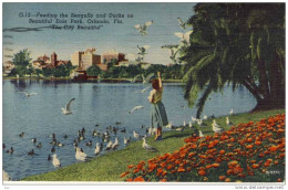 ORLANDO, FL - Feeding The Seagulls And Ducks On Beautiful Eola Park, ORLANDO, FL - Orlando