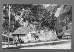 Charmey Chapelle Du Pont De Roc édit. Morel Bulle N° 200 A  âne Mule - Charmey