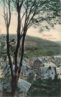 ALLEMAGNE - Montjoie - Blick Auf Montjoie - Carte Postale Ancienne - Andere & Zonder Classificatie