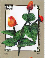 Acmella Calva Toothache Plant Stamp 2024 Nepal MNH - Heilpflanzen