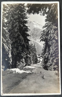 Lenzerheide Winterlandschaft / Fotokarte - Lantsch/Lenz