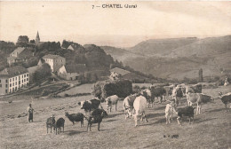 FRANCE - Chatel (Jura) - Vue Générale De La Ville Au Loin - Vue De Près De Différents Animaux - Carte Postale Ancienne - Other & Unclassified