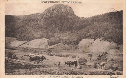 FRANCE - Le Mont Dore - Le Capucin - Carte Postale Ancienne - Le Mont Dore