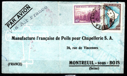 AIR FRANCE 1938 Courrier Argentine Vers France Par Avion 10 Anniversaire LIGNE  MERMOZ - Airmail