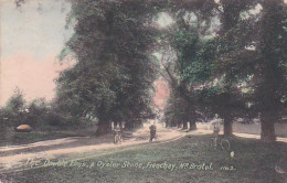 241681Frenchay, The Double Elms, & Oyster Stone. Nr. Bristol. 1142 (postmark 1907)(see Corners) - Bristol