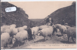 PYRENEES- SCENES ET TYPES- UN BERGER ET SON TROUPEAU- LL 3 - Midi-Pyrénées