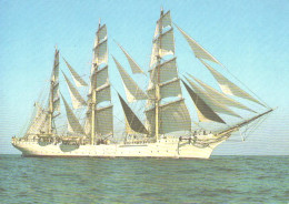 Large Sailing Ship Dar Pomorza - Velieri