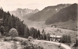 FRANCE - Le Mont Dore - Vue Sur Le Pic De Sancy - Carte Postale - Le Mont Dore