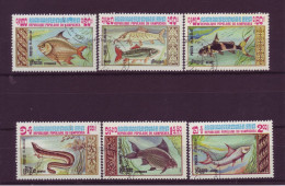 Asie - Kampuchea 1983  - Poissons - 6 Timbres Différents - 6283 - Kampuchea