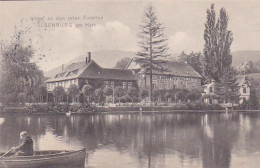 2511226Ilsenburg Am Harz, Hotel Zu Den Roten Forellen 1913 - Ilsenburg