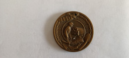 RARE  Médaille USA  Corps Marine  Fidelity Zeal Obedience - Andere & Zonder Classificatie