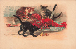 ANIMAUX - Des Chats Festoyant - Colorisé - Carte Postale Ancienne - Katzen