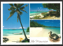 ILE MAURICE. Carte Postale écrite. Le Dodo. - Mauritius