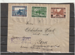 Yugoslavia REGISTERED COVER Jablanica To Switzerland 1919 - Lettres & Documents