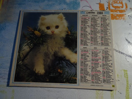 Calendrier Almanach Des Ptt 1988 Chaton - Chiot - Grand Format : 1981-90
