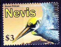 Nevis 2010 MNH, Brown Pelican, Water Birds - Pelícanos