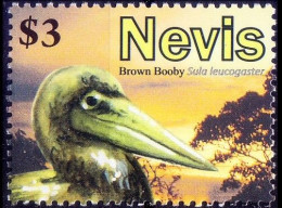 Nevis 2010 MNH, Brown Booby, Water Birds - Marine Web-footed Birds