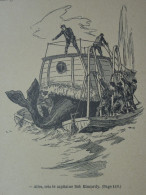 Voyage à Dos De Baleine, A. Brown, Illustrations De P. Kauffmann, 1920 - 1901-1940