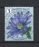 Belgie 2016 Flower Y.T. 4631  (0) - Usati