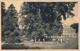 Delcampe - CHATEAU DE SOLIERES  L'HEUREUX ABRI      2 SCANS - Huy