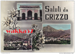 $3- 3029- Saluti Da Grizzo - Pordenone - F.g. Viaggiata - Pordenone