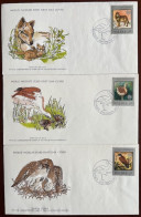 Poland - FDC WWF 1977 - Storia Postale