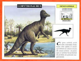 CORYTHOSAURUS  Dinosaure Histoire Préhistoire Fiche Illustree - History