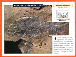 AEDUELLA BLAINVILLEI  Histoire Préhistoire Fiche Illustree - Storia