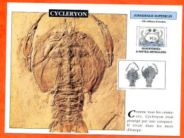 CYCLERYON   Histoire Préhistoire Fiche Illustree - History