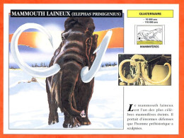 MAMMOUTH LAINEUX  Histoire Préhistoire Fiche Illustree - Histoire