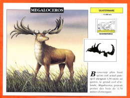 MEGALOCEROS  Histoire Préhistoire Fiche Illustree - Geschiedenis