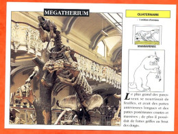 MEGATHERIUM  Histoire Préhistoire Fiche Illustree - History