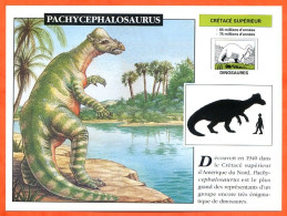 PACHYCEPHALOSAURUS  Dinosaure Histoire Préhistoire Fiche Illustree - History