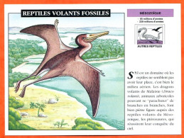 REPTILES VOLANTS FOSSILES  Histoire Préhistoire Fiche Illustree - Geschiedenis