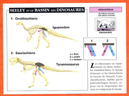 SEELEY ET LE BASSIN DES DINOSAURES Histoire Préhistoire Fiche Illustree - History